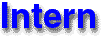 Intern